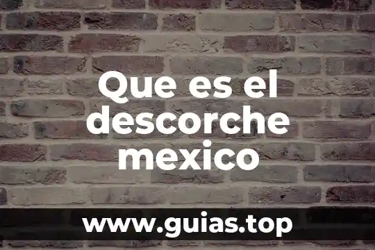 Que es principio de importancia relativa 4 Que es el descorche mexico