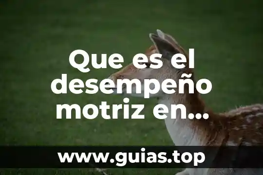 Que es examen de evaluacion del desempeño laboral 3 Que es el desempeño motriz en educacion fisica