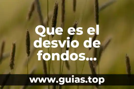 Que es una empresa administradora de fondos 8 Que es el desvio de fondos publicos