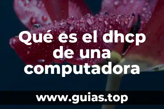 Que es una computadora cómo son sus componentes 4 Qué es el dhcp de una computadora