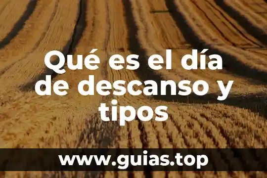 Que es un isla en una plaza comercial 6 Qué es el día de descanso y tipos