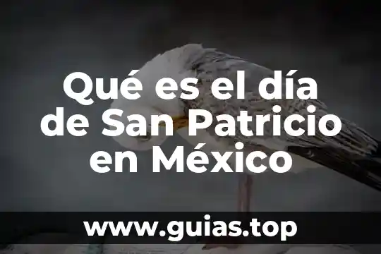 Que es un grupo indijenas en mexico 7 Qué es el día de San Patricio en México