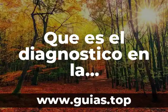 Línea de distribución de agua qué es 5 Que es el diagnostico en la administracion