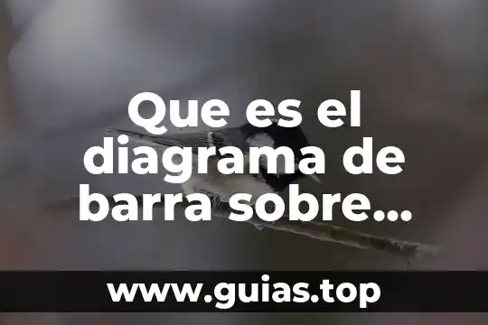 Que es una barra de planta 5 Que es el diagrama de barra sobre obras de construcción
