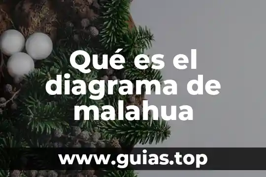 Que es diagrama de pictograma 5 Qué es el diagrama de malahua