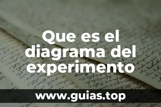 Qué es volitivo en psicología 6 Que es el diagrama del experimento