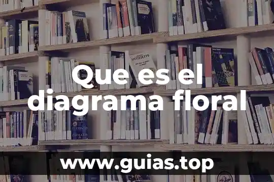 Diagrama de rad que es 4 Que es el diagrama floral