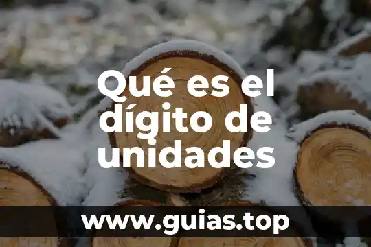 Que es e sistema internacional de unidades 3 Qué es el dígito de unidades