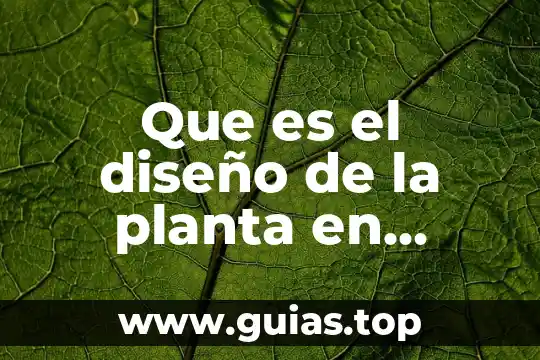 Que es eltetaedro del color diseño 8 Que es el diseño de la planta en administracion