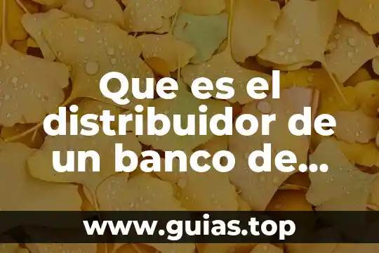 Que es la plaza en una cuenta de banco 5 Que es el distribuidor de un banco de pruebas