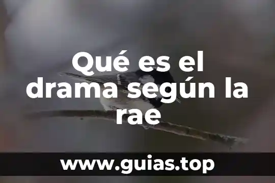 Qué es psicología rae 7 Qué es el drama según la rae