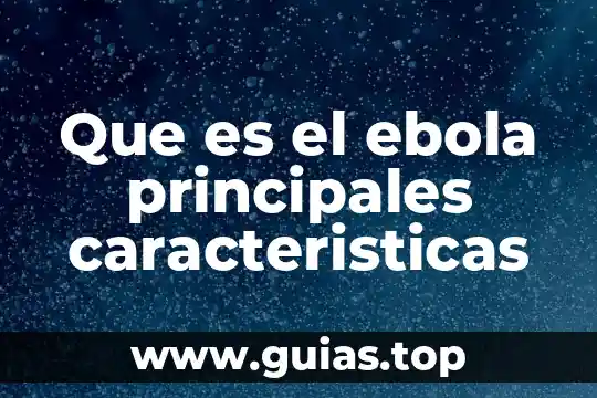 Qué es la filosofía y sus principales ramas 7 Que es el ebola principales caracteristicas