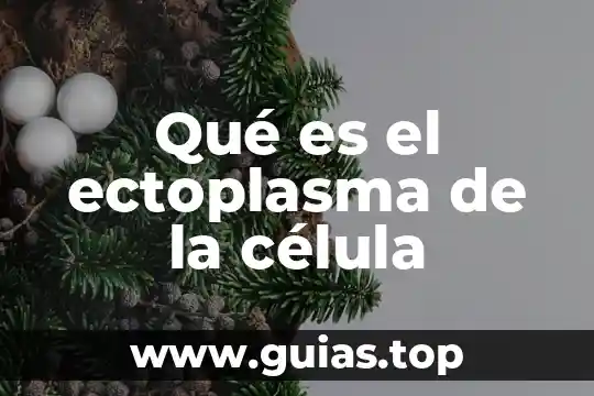 Qué es una célula en radiocomunicación 5 Qué es el ectoplasma de la célula