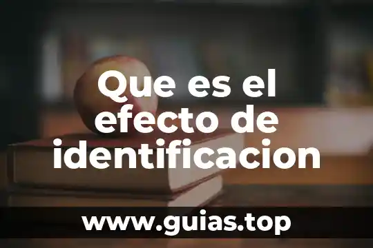 Que es el efecto glitch 7 Que es el efecto de identificacion