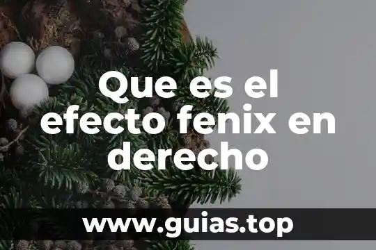 Que es el efecto glitch 5 Que es el efecto fenix en derecho