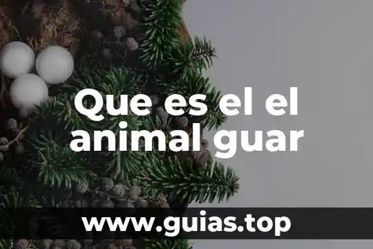 Que es una rúbrica excel 4 Que es el el animal guar