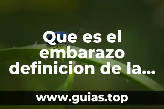 En que mes del embarazo puedo saber que es 6 Que es el embarazo definicion de la oms