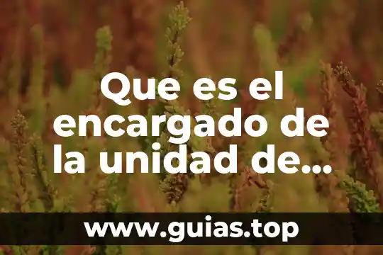 Qué es ser persona scielo 7 Que es el encargado de la unidad de coordinacion ejecutiva