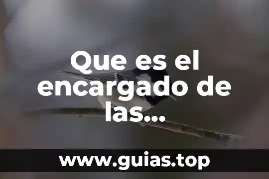 Alanino aminotransferasa en sangre para que es 8 Que es el encargado de las contrataciones