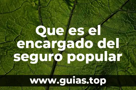 Que es el seguro de transporte de mercancias terrestre 5 Que es el encargado del seguro popular