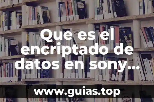 Que es la capa de enlace de datos 4 Que es el encriptado de datos en sony xperia xa