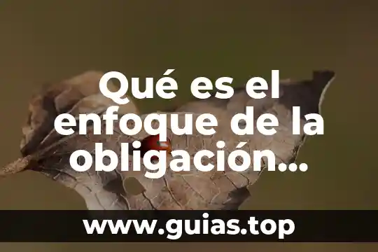 Que es una obligacion concepto para niños 5 Qué es el enfoque de la obligación social