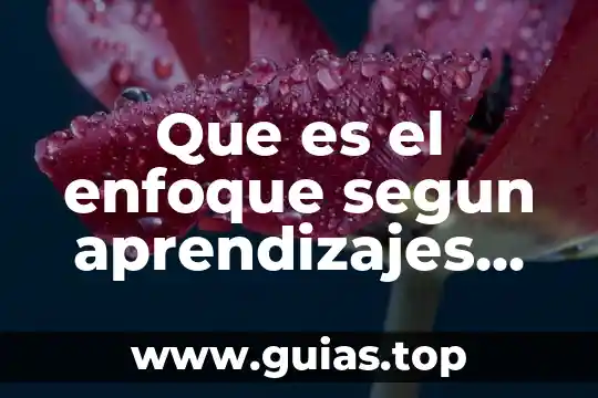 Palabras claves de que es un principio activo 7 Que es el enfoque segun aprendizajes claves