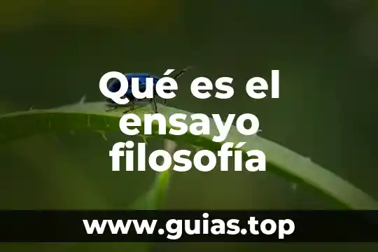 Que es fabulo en animal juego de agilizar mente 7 QuĆ© es el ensayo filosofĆa