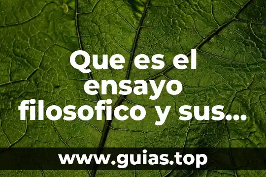 Que es sistema operativo tipos y caracteristicas 7 Que es el ensayo filosofico y sus caracteristicas
