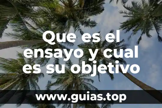 Que es objetivo mercantil o industrial 4 Que es el ensayo y cual es su objetivo