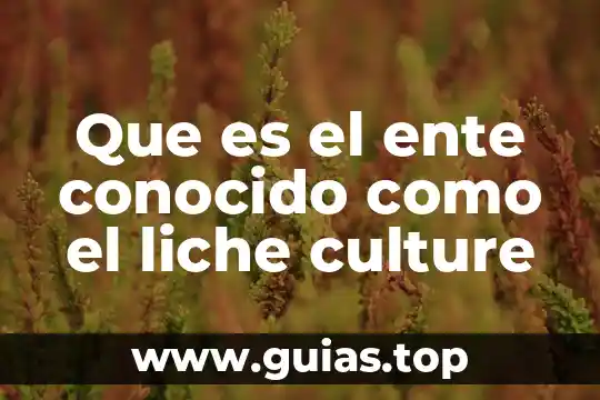 Diagrama termodinámico que es conocido como diagrama de mollier 3 Que es el ente conocido como el liche culture