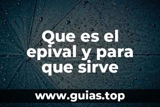 Que es el refran y para que sirve 8 Que es el epival y para que sirve