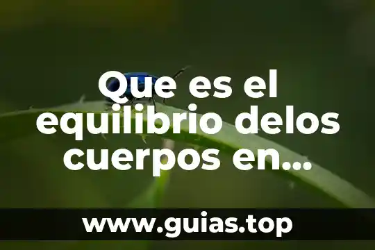 Que es muerte politica 5 Que es el equilibrio delos cuerpos en fisica