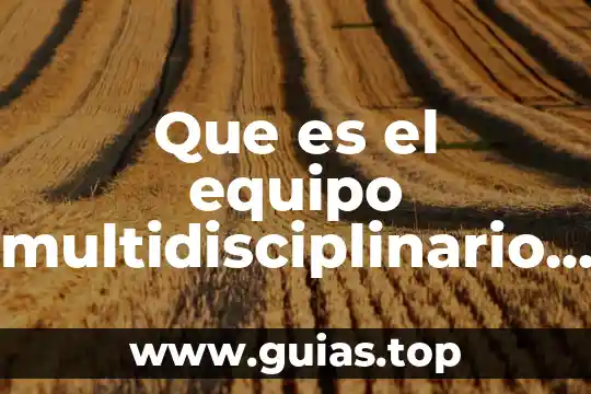 Que es un principio filosofico de la educacion 3 Que es el equipo multidisciplinario en educacion especial