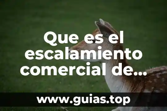 Que es un proyecto y los tipos 6 Que es el escalamiento comercial de un proyecto