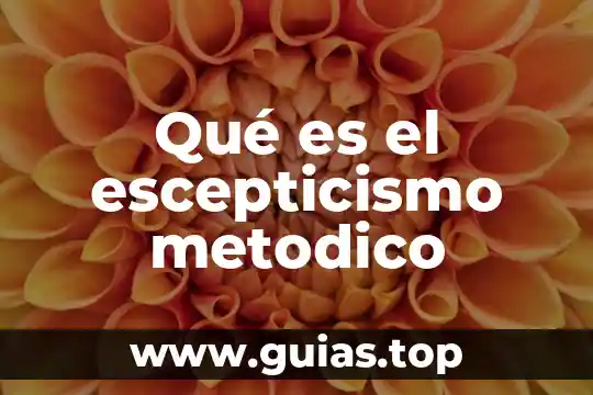 Parte de una flor que es el androceo 5 Qué es el escepticismo metodico
