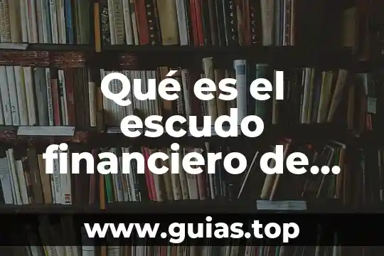 Que es un marco financiero 3 Qué es el escudo financiero de México