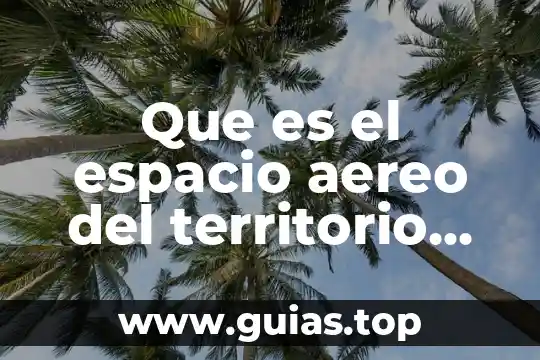 En que es consiste el sistema aereo del arbol frutal 8 Que es el espacio aereo del territorio nacional