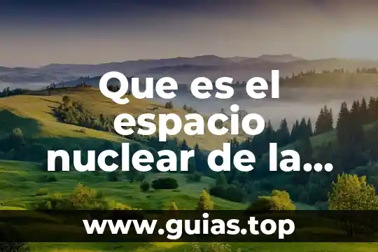 Qué es una planta nuclear y un reactor nuclear 6 Que es el espacio nuclear de la didáctica