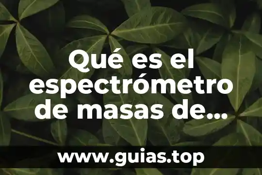 Que es una portapapeles en informatica 4 Qué es el espectrómetro de masas de helio