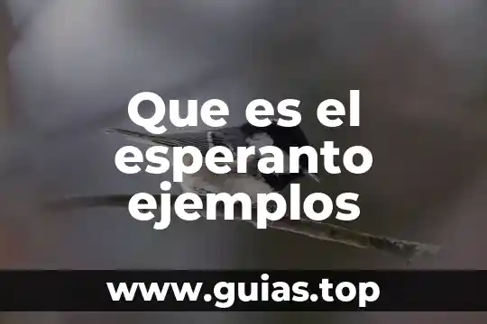 Que es la realidad aumentada ejemplos 8 Que es el esperanto ejemplos