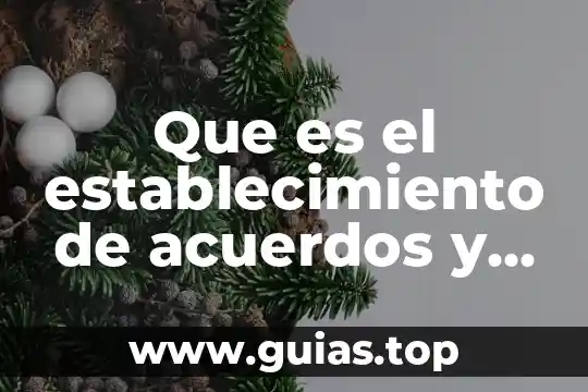 Qué es Alternativas y Acuerdos Definición 3 Que es el establecimiento de acuerdos y para que sirve