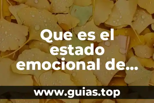 Que es ser una persona empatica 5 Que es el estado emocional de una persona
