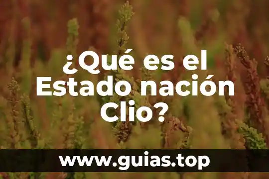 Que es ser servidor de la nacion 7 ¿Qué es el Estado nación Clio?
