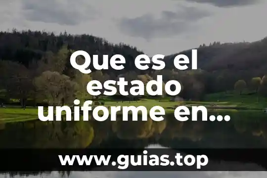 Qué es la teoría comprensiva la unidimensionalidad según marcuse 5 Que es el estado uniforme en teoria del estado