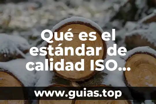 Qué es un estándar de calidad interno definición 4 Qué es el estándar de calidad ISO 9126