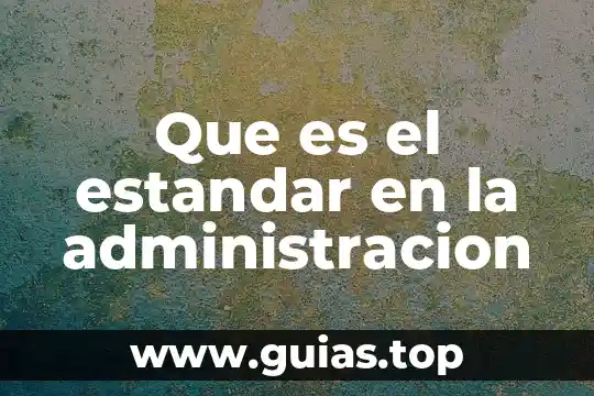 Qué es un estándar de calidad interno definición 5 Que es el estandar en la administracion
