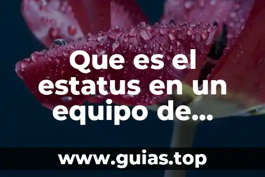 Que es el estatus en un equipo de trabajo