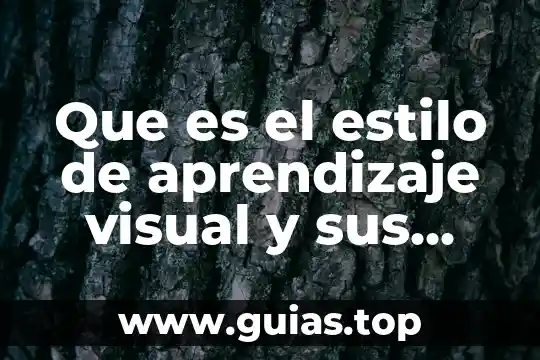 Qué es un lector tipos y características 7 Que es el estilo de aprendizaje visual y sus caracteristicas
