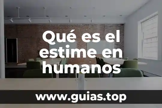 Que es la vigencia de los derechos humanos 3 Qué es el estime en humanos